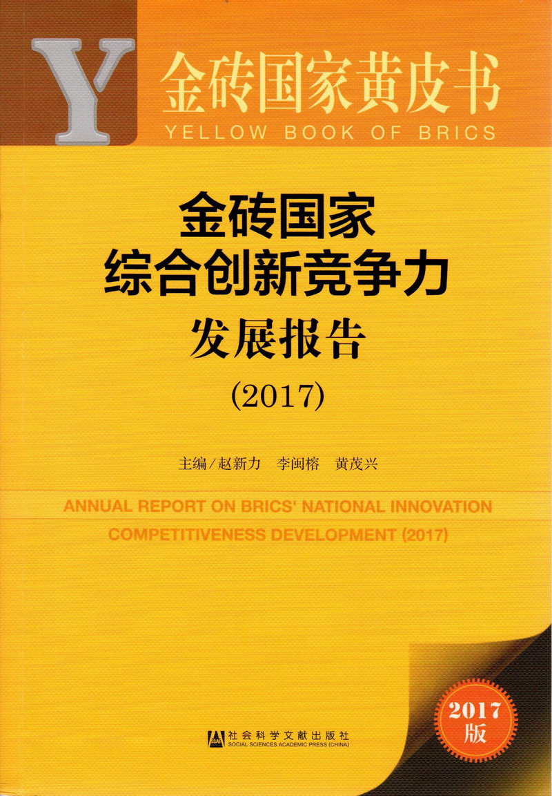 男女操逼大鸡巴爆操金砖国家综合创新竞争力发展报告（2017）